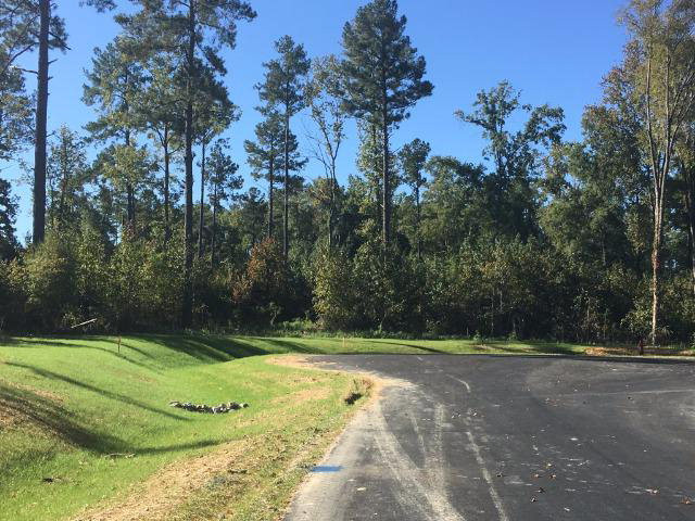 Lot 16 Drayton Way Harlem, GA 30814 - Photo 7 of 8 Gallery Image 7