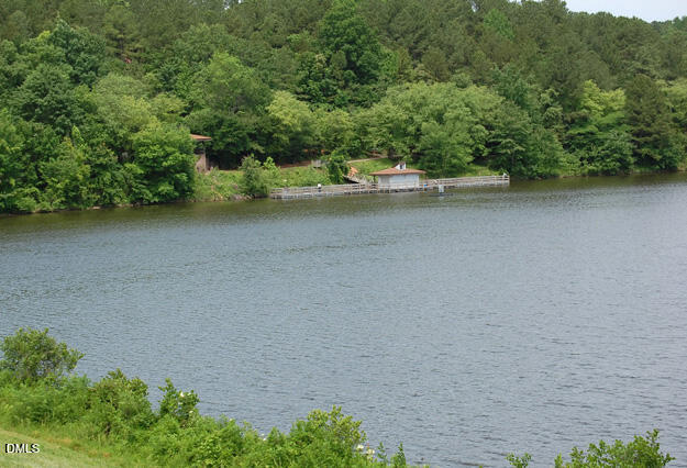 2510 Silverpalm Street Raleigh, NC 27612 - Photo 60 of 68 shelly-lake1