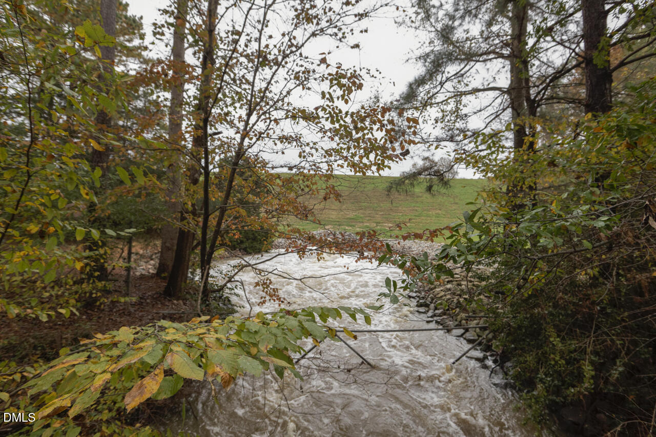 2510 Silverpalm Street Raleigh, NC 27612 - Photo 62 of 68 _MG_8654_DxO