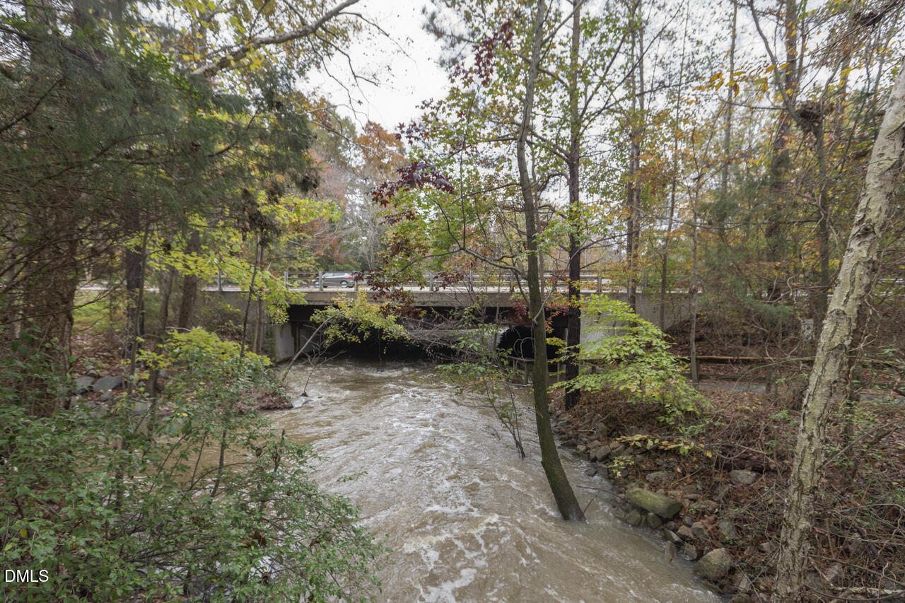 2510 Silverpalm Street Raleigh, NC 27612 - Photo 63 of 68 _MG_8657_DxO