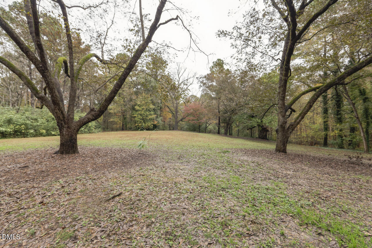 2510 Silverpalm Street Raleigh, NC 27612 - Photo 64 of 68 _MG_8652_DxO
