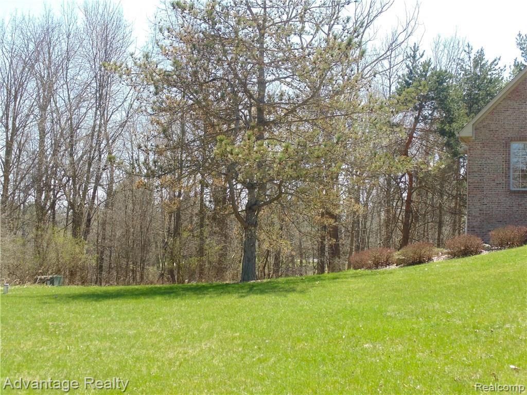 6960 West Gates Street Romeo, MI 48065 - Photo 6 of 91 5.01 acres to enjoy and it ends at the river!!