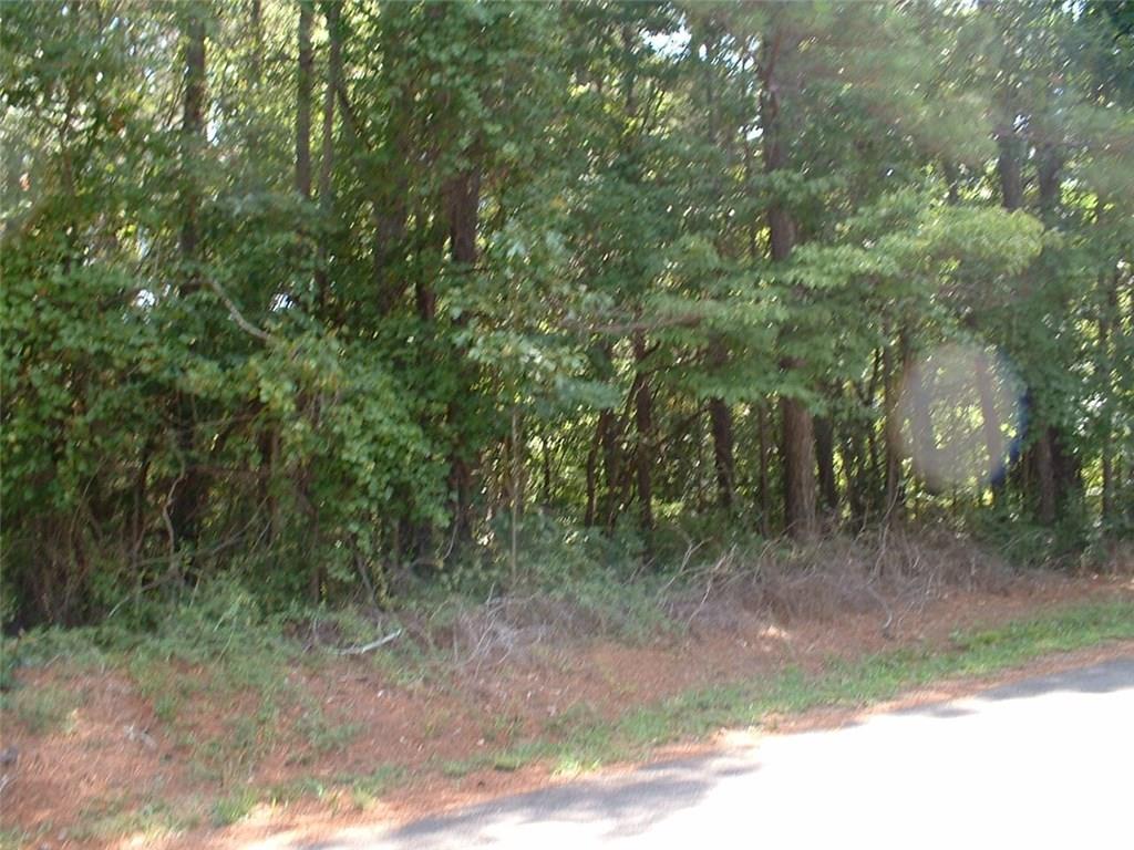 Lot 1 Boling Fountain Road Jasper, GA 30143 - Photo 1 of 1 Gallery Image 1