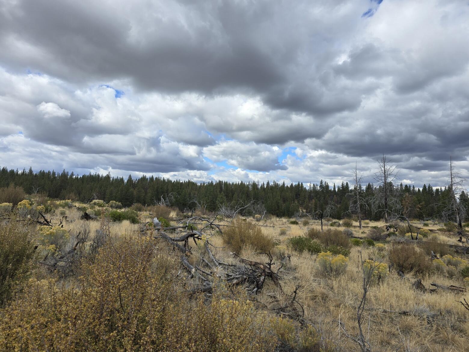 0 Partin Drive, Unit 19 Beatty, OR 97621 - Photo 4 of 15 20241012_140910