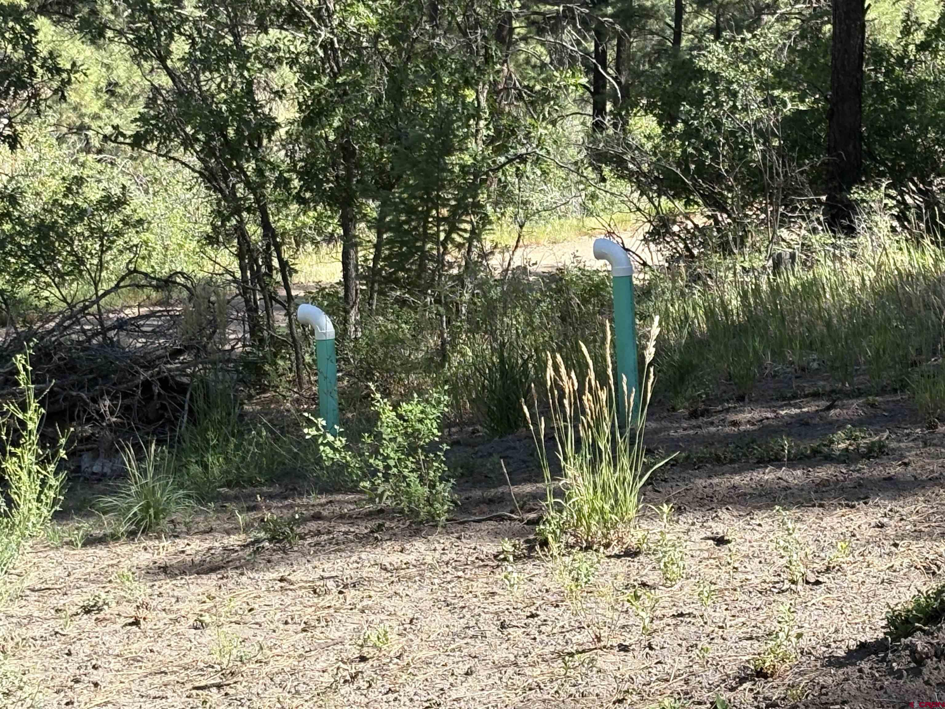 599 Pineview Road Pagosa Springs, CO 81147 - Photo 15 of 24 a view of outdoor space and trees