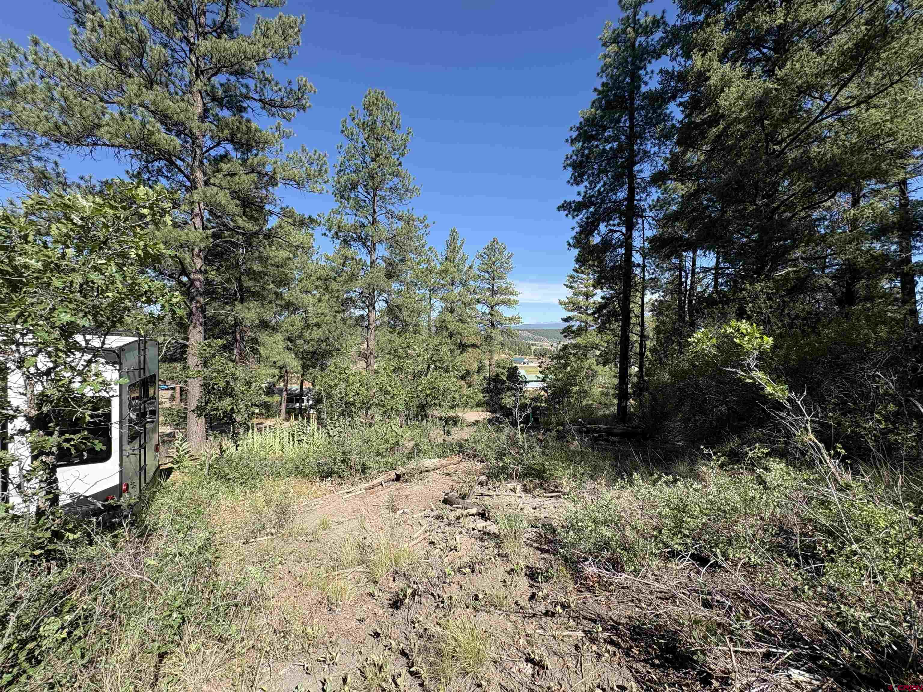 599 Pineview Road Pagosa Springs, CO 81147 - Photo 16 of 24