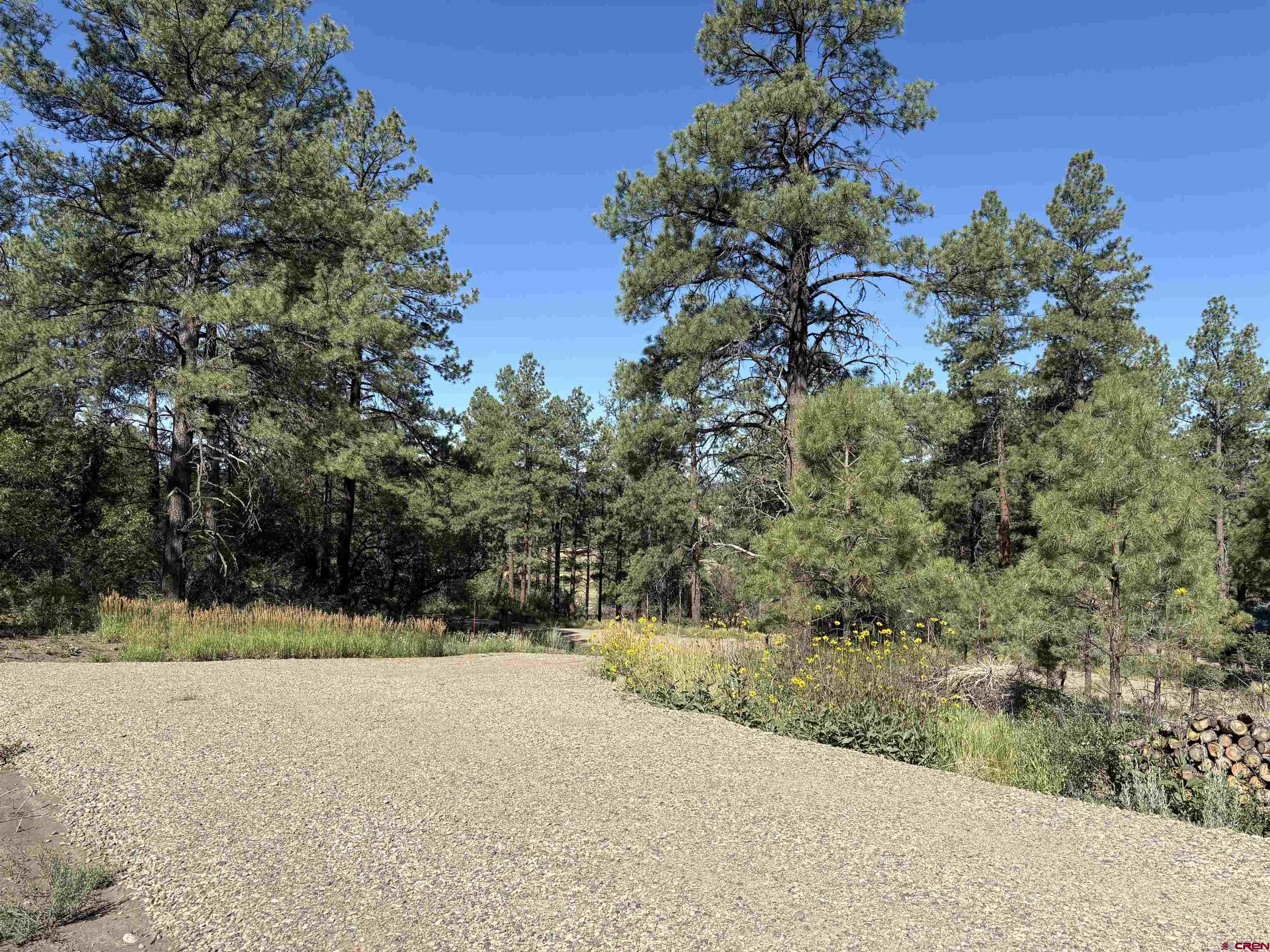 599 Pineview Road Pagosa Springs, CO 81147 - Photo 17 of 24 a view of a yard with a tree