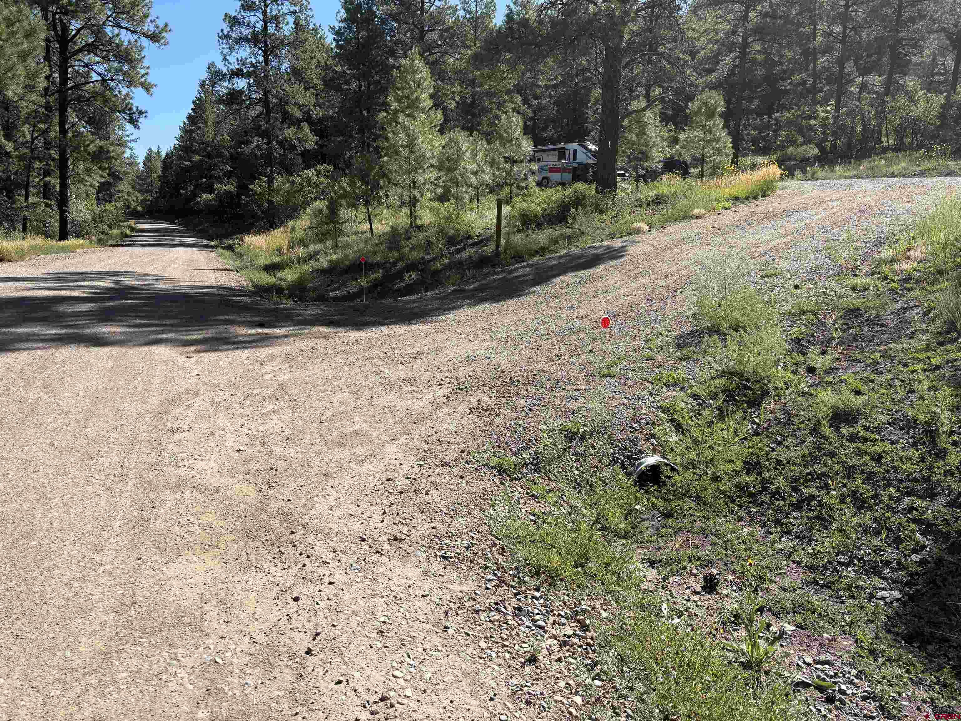 599 Pineview Road Pagosa Springs, CO 81147 - Photo 20 of 24