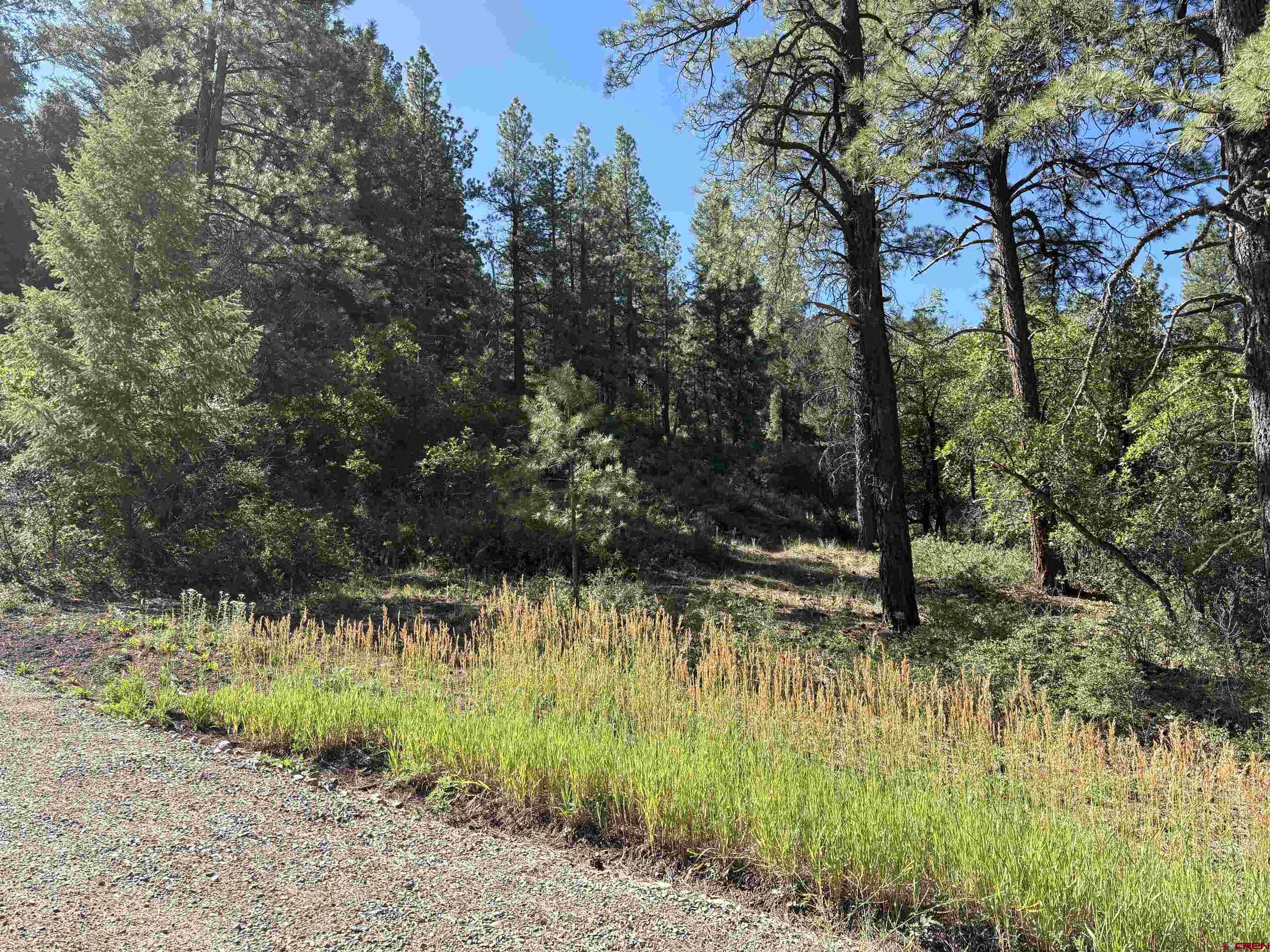 599 Pineview Road Pagosa Springs, CO 81147 - Photo 21 of 24