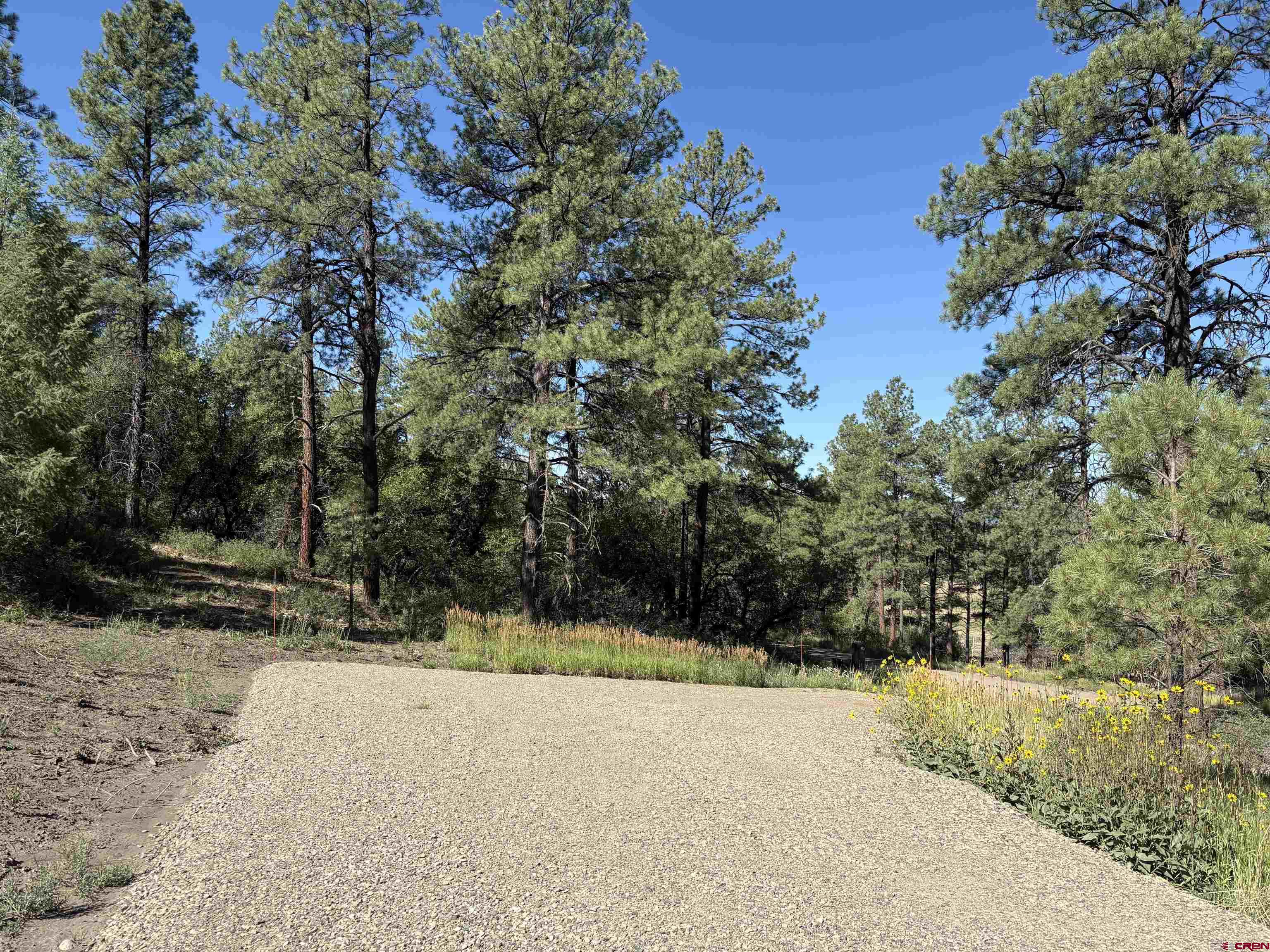 599 Pineview Road Pagosa Springs, CO 81147 - Photo 22 of 24 a view of a yard with plants and trees