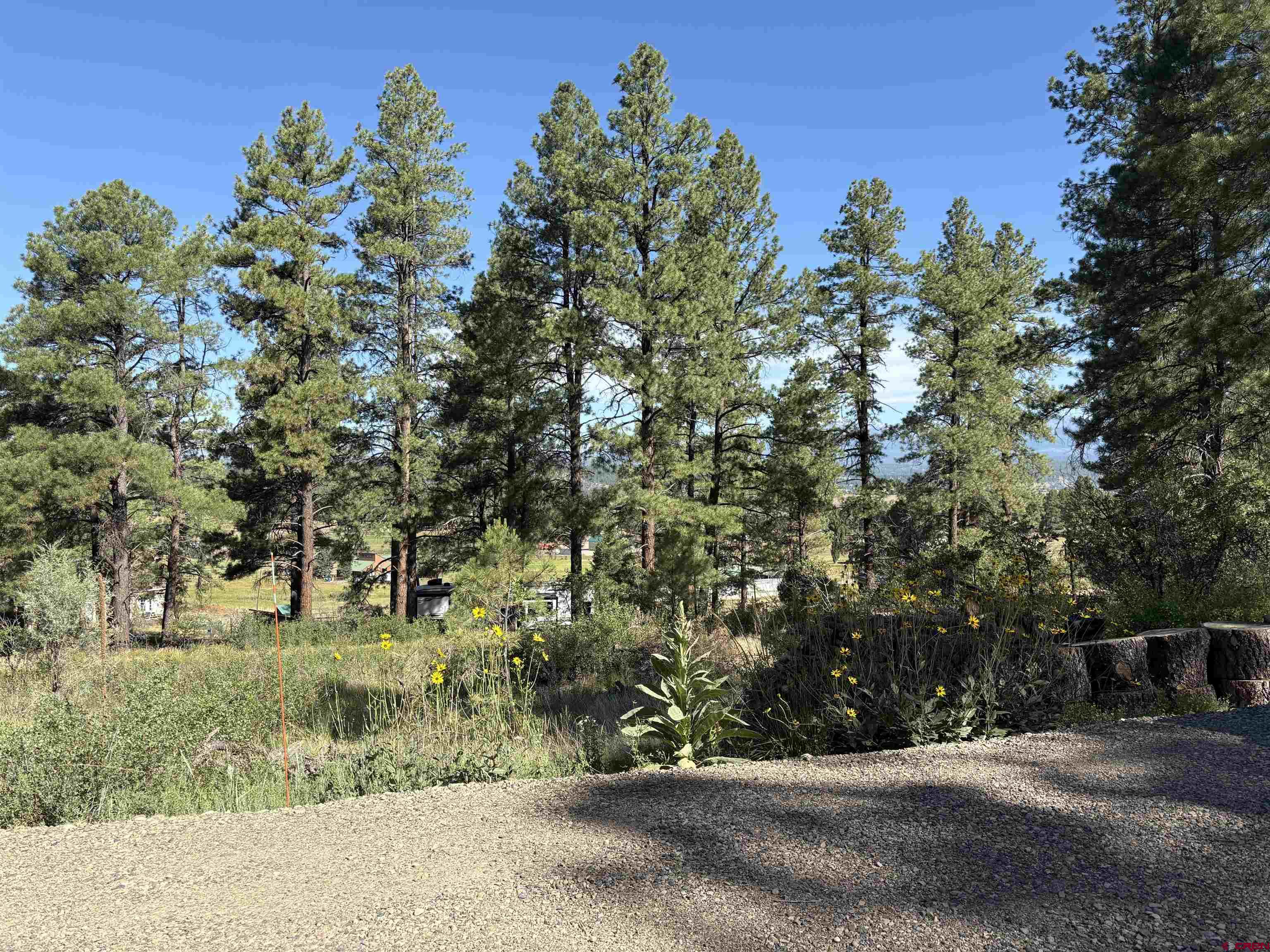 599 Pineview Road Pagosa Springs, CO 81147 - Photo 23 of 24