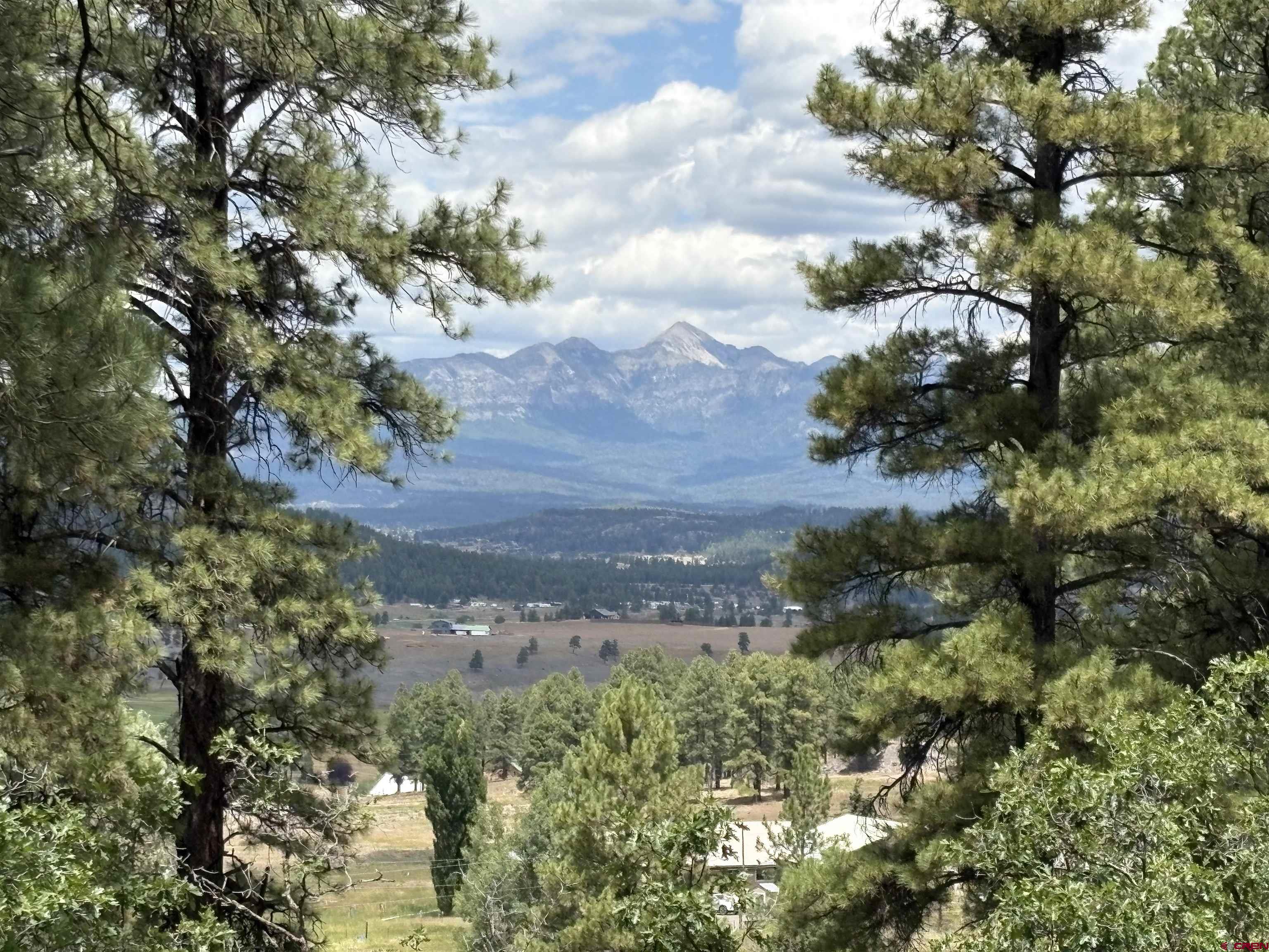 599 Pineview Road Pagosa Springs, CO 81147 - Photo 6 of 24