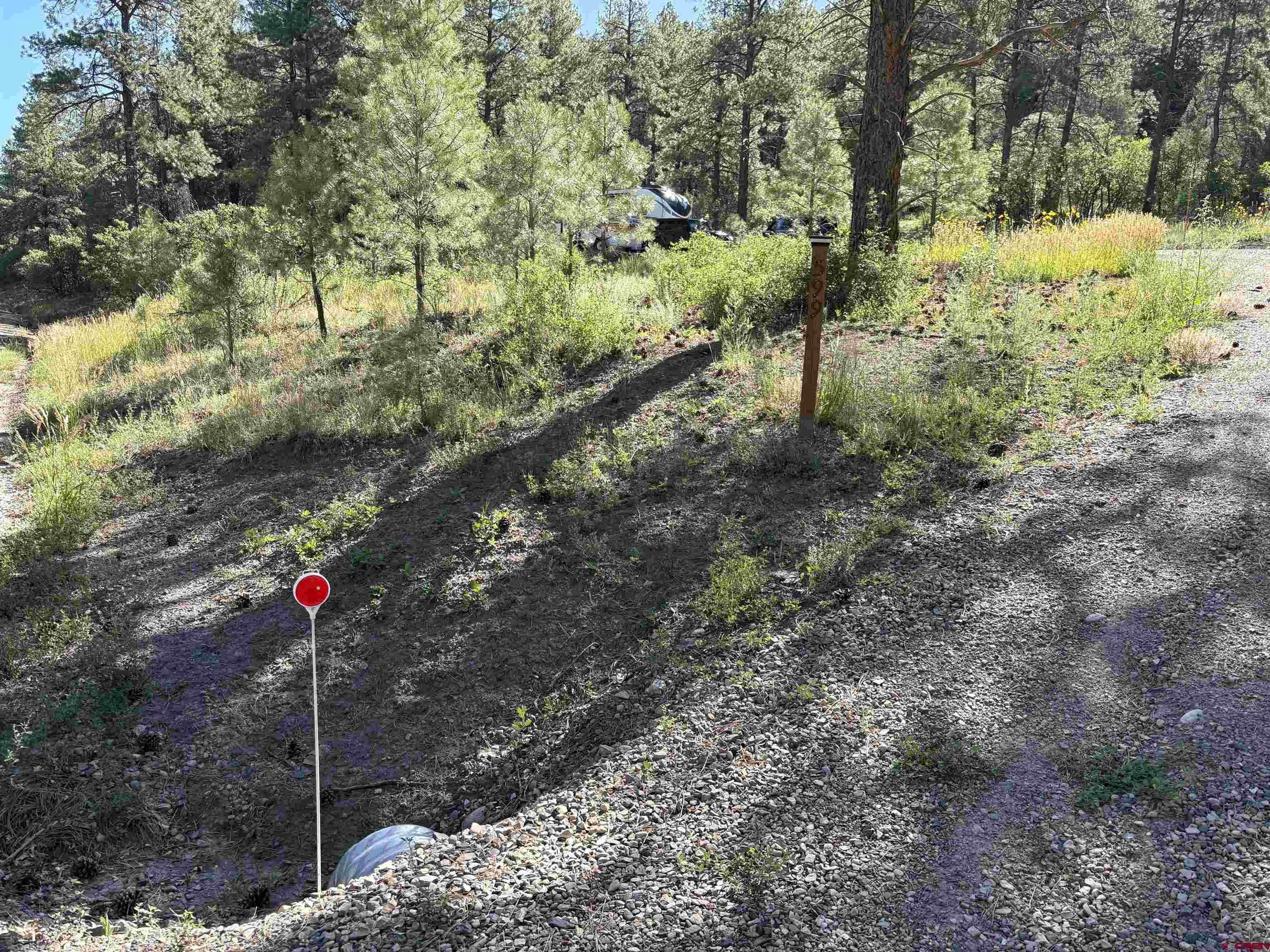 599 Pineview Road Pagosa Springs, CO 81147 - Photo 8 of 24