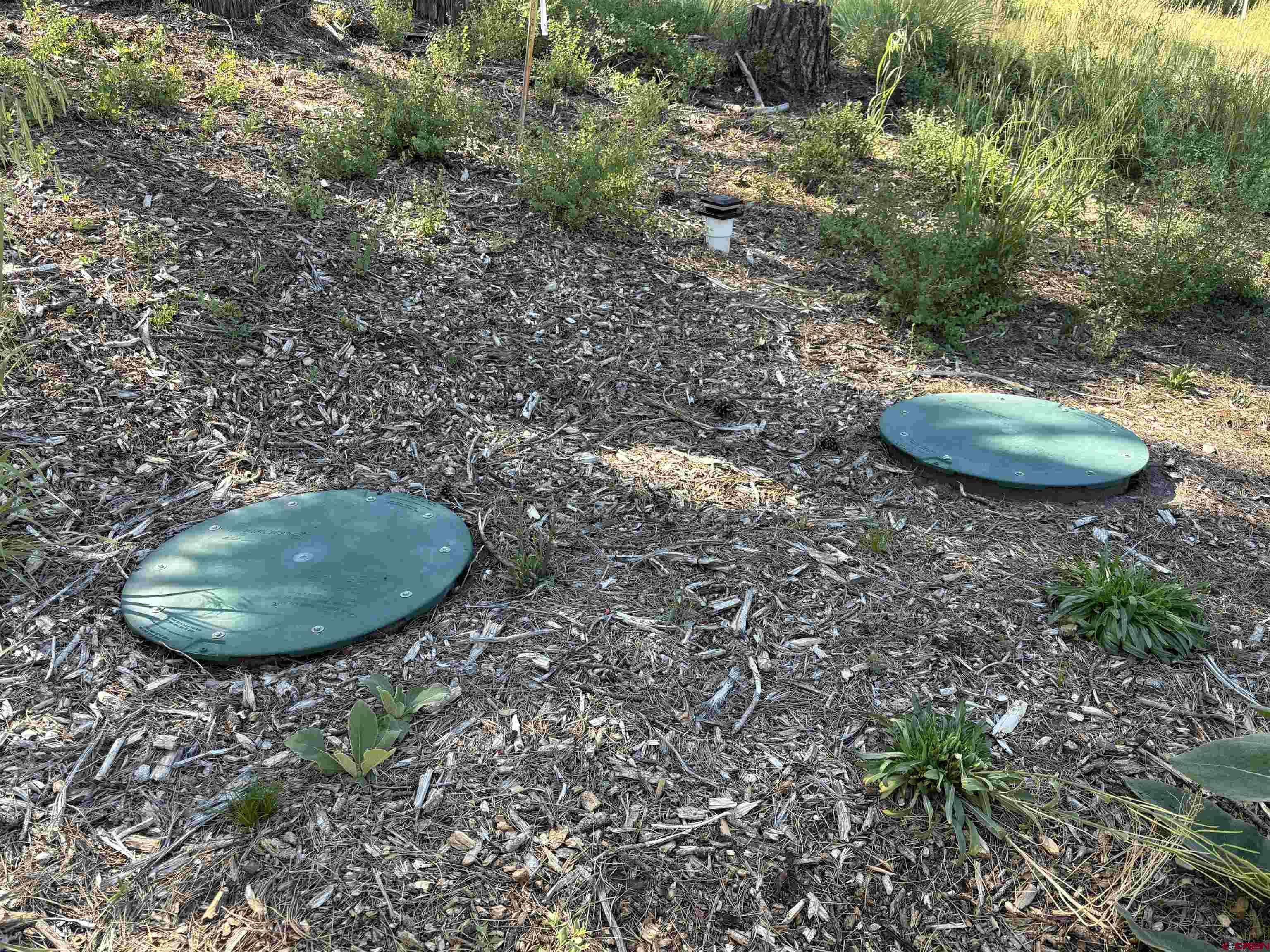 599 Pineview Road Pagosa Springs, CO 81147 - Photo 9 of 24 a view of a backyard with plants and chairs
