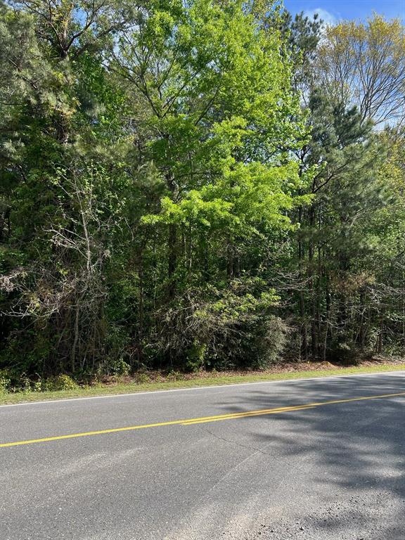 0 Keatchie-Marshall Road Keithville, LA 71047 - Photo 2 of 4