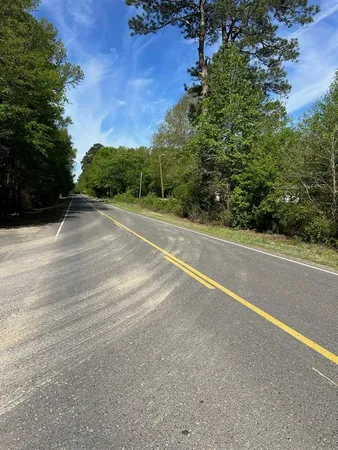 a view of a yard with large trees