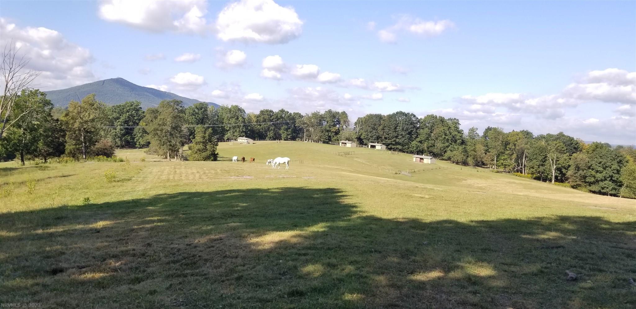 Lot 40 Hurston Road Pulaski, VA 24301 - Photo 24 of 29 Gallery Image 24
