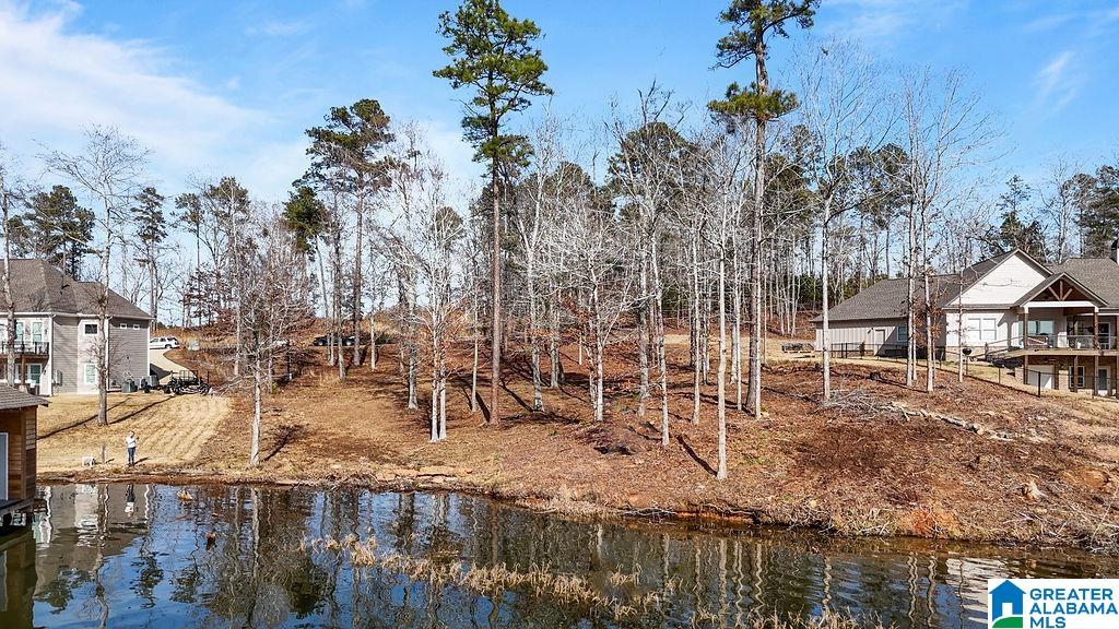2147 Eagle Mountain Road, Unit 12 Rockford, AL 35136 - Photo 17 of 22
