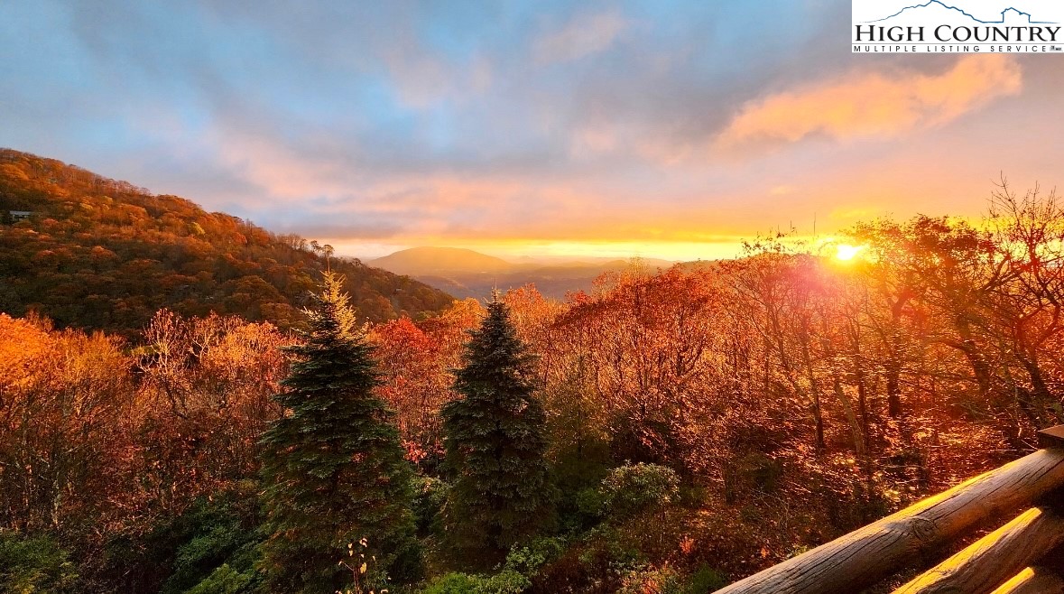 1935 Homestead Road Todd, NC 28684 - Photo 44 of 44