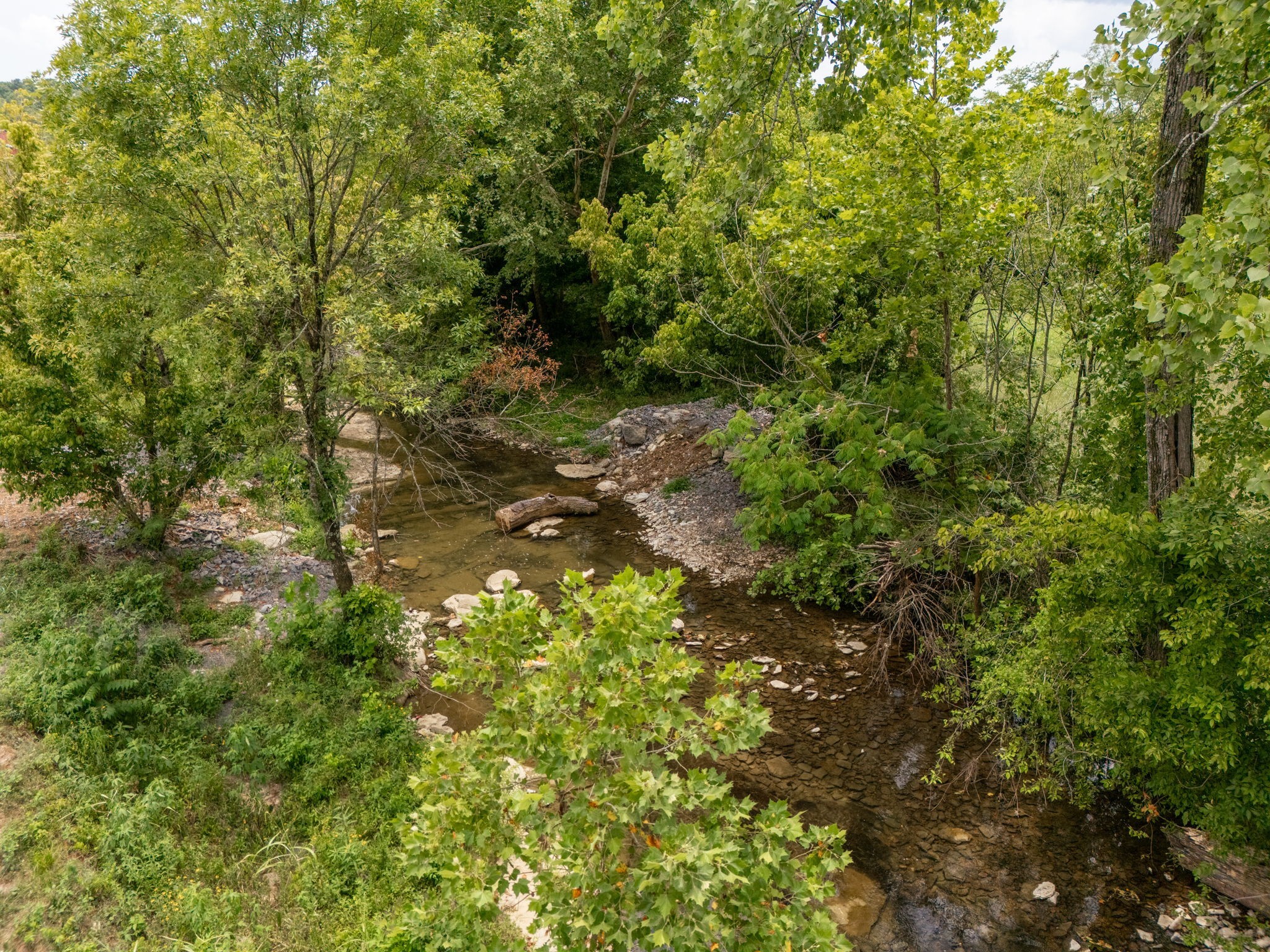 3460 Bradyville Road Readyville, TN 37149 - Photo 6 of 21