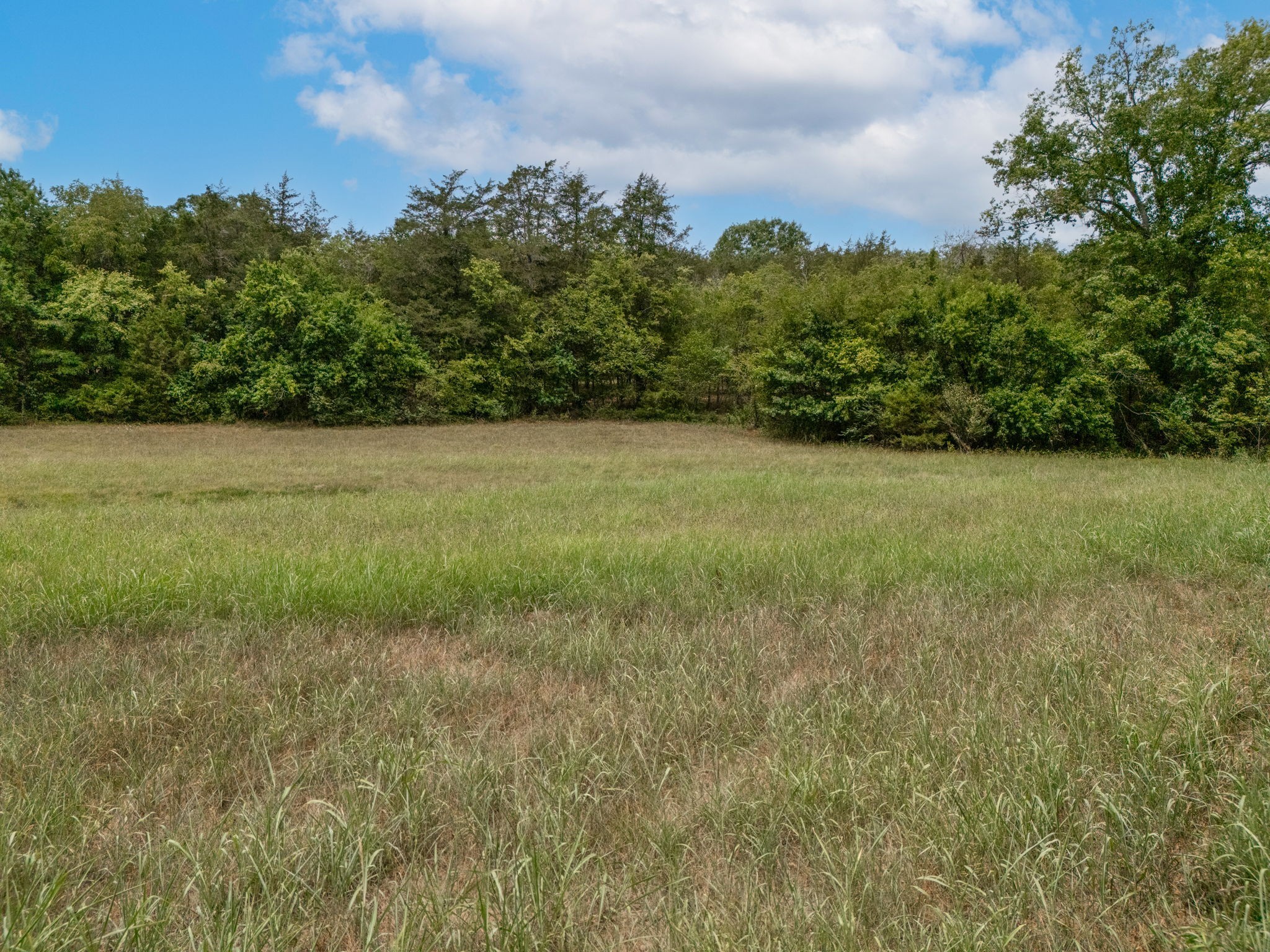 3460 Bradyville Road Readyville, TN 37149 - Photo 10 of 21