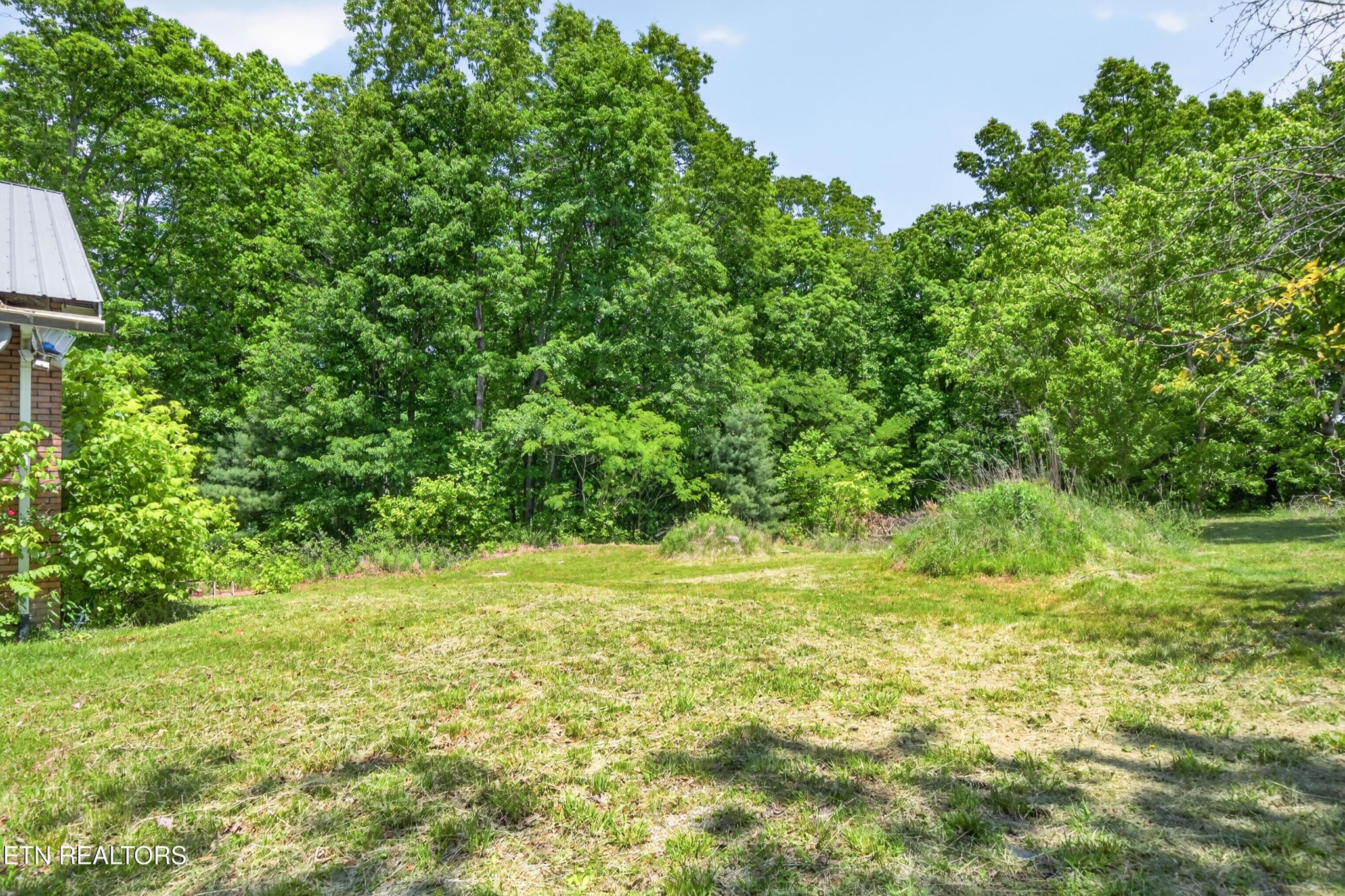 1161 Charlie Doss Road Jamestown, TN 38556 - Photo 7 of 43