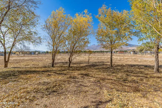 a view of a backyard with a garden and trees