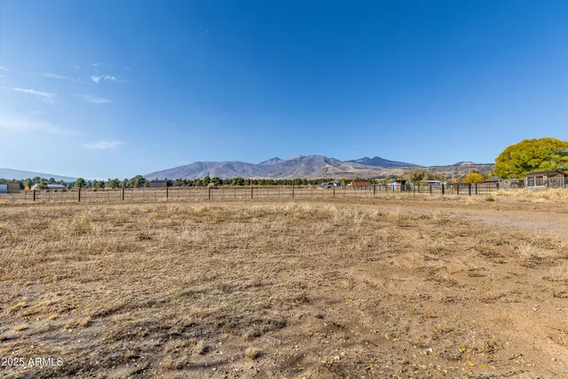 a view of dirt yard with a large tree