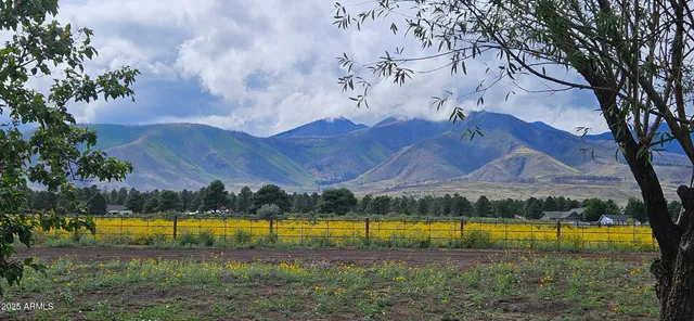 a view of a swimming pool and a yard