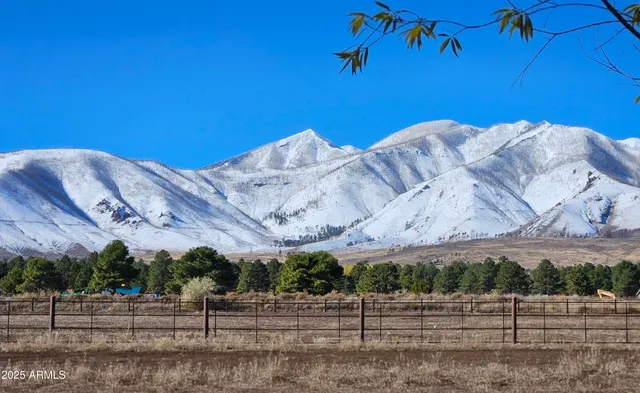 a view of a big yard