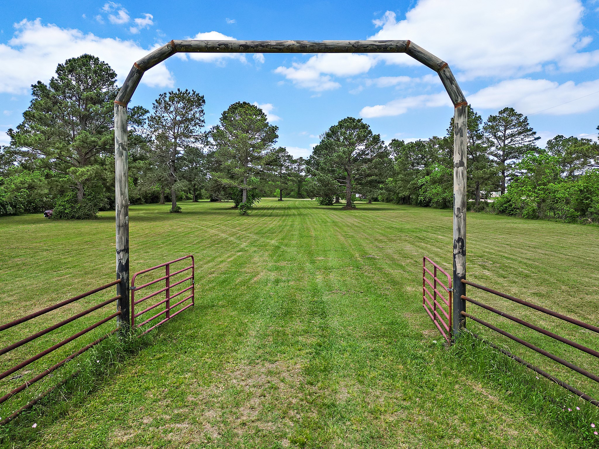 a view of a field with a tree in the background