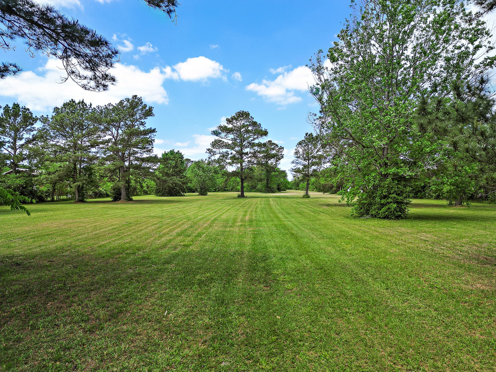 9915 North Main Street Baytown, TX 77521 - Photo 14 of 17 a view of a park with large trees
