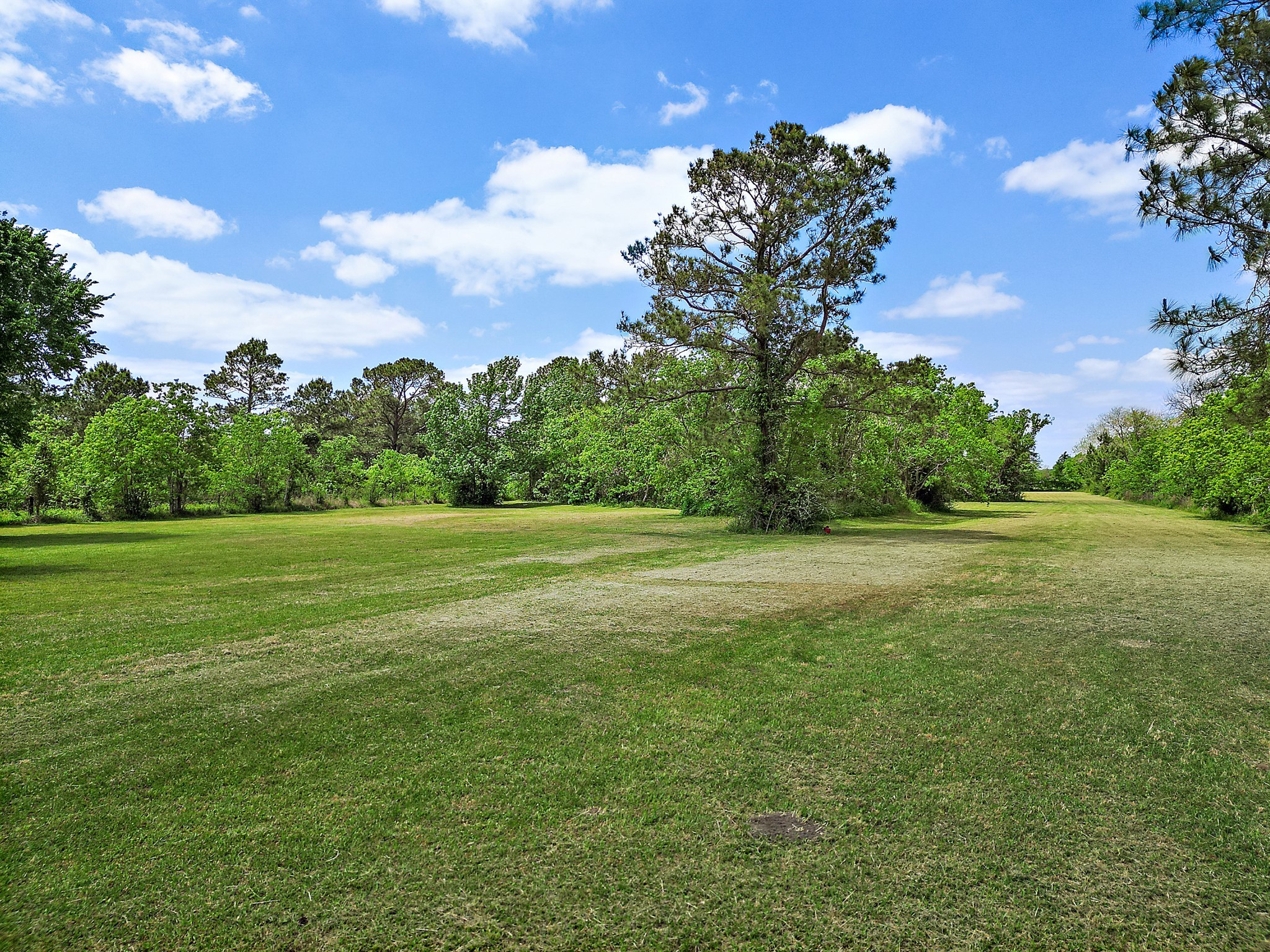 9915 North Main Street Baytown, TX 77521 - Photo 15 of 17 a view of a green field with wooden fence