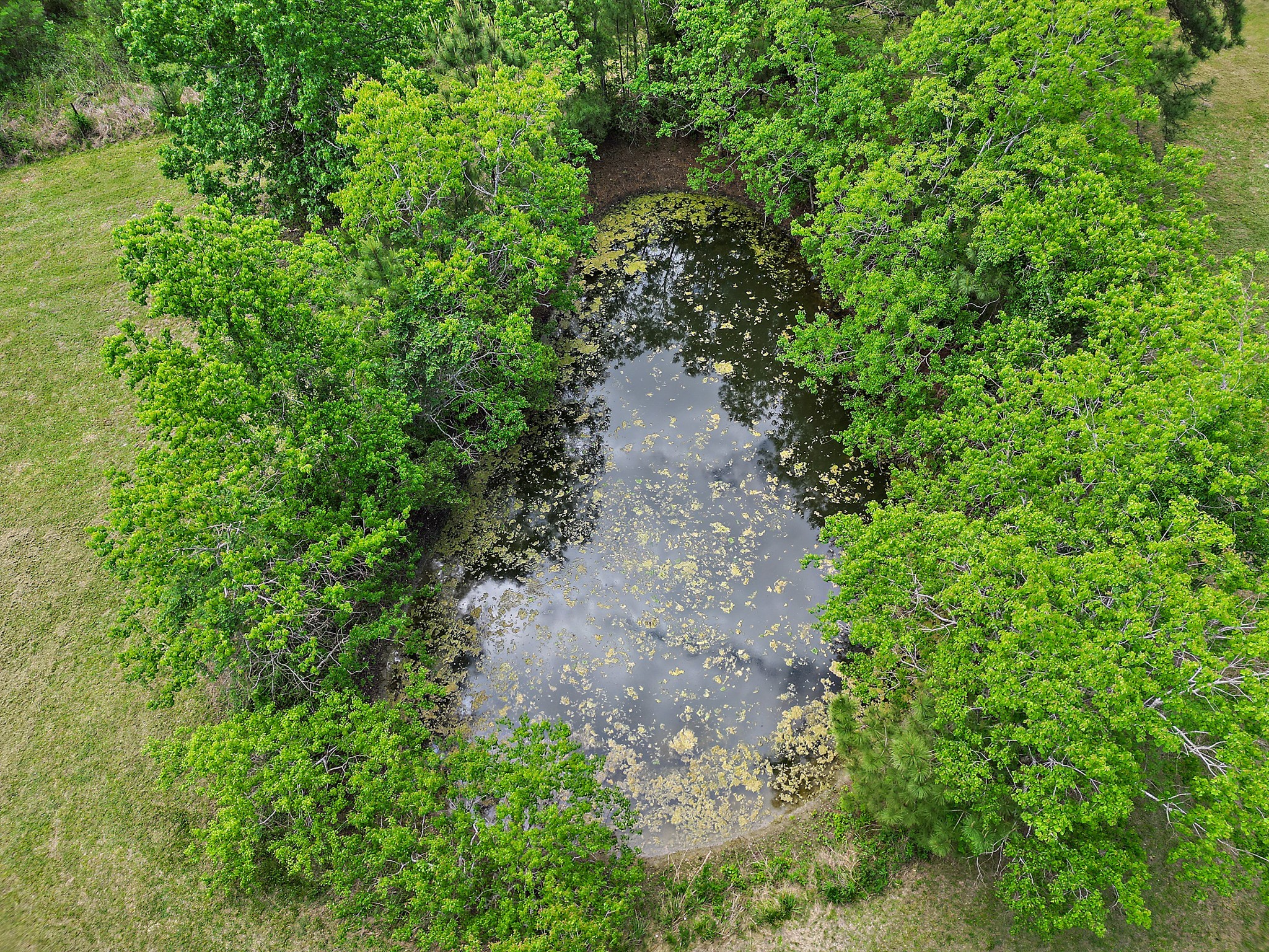 9915 North Main Street Baytown, TX 77521 - Photo 9 of 17 a view of a pathway both side of yard