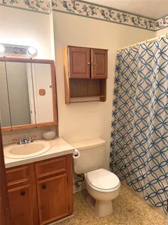 a bathroom with a sink a toilet and mirror