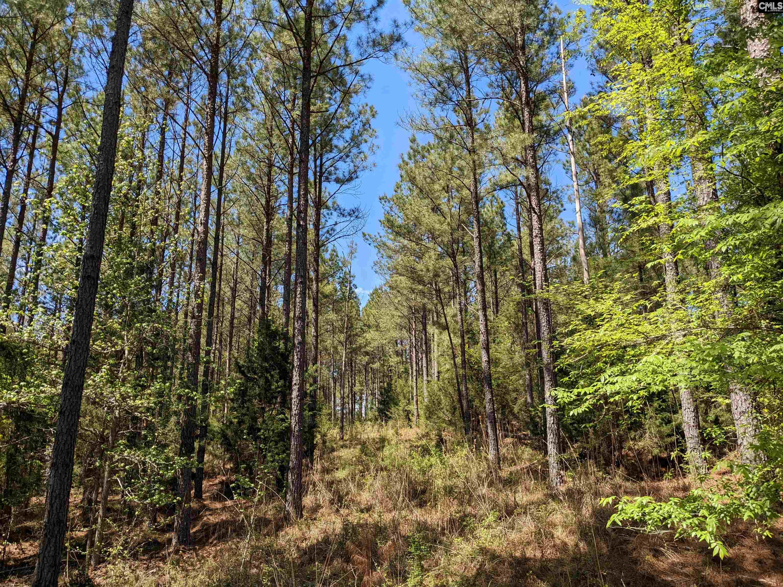 Old Hillcrest School Road Winnsboro, SC 29180 - Photo 23 of 95