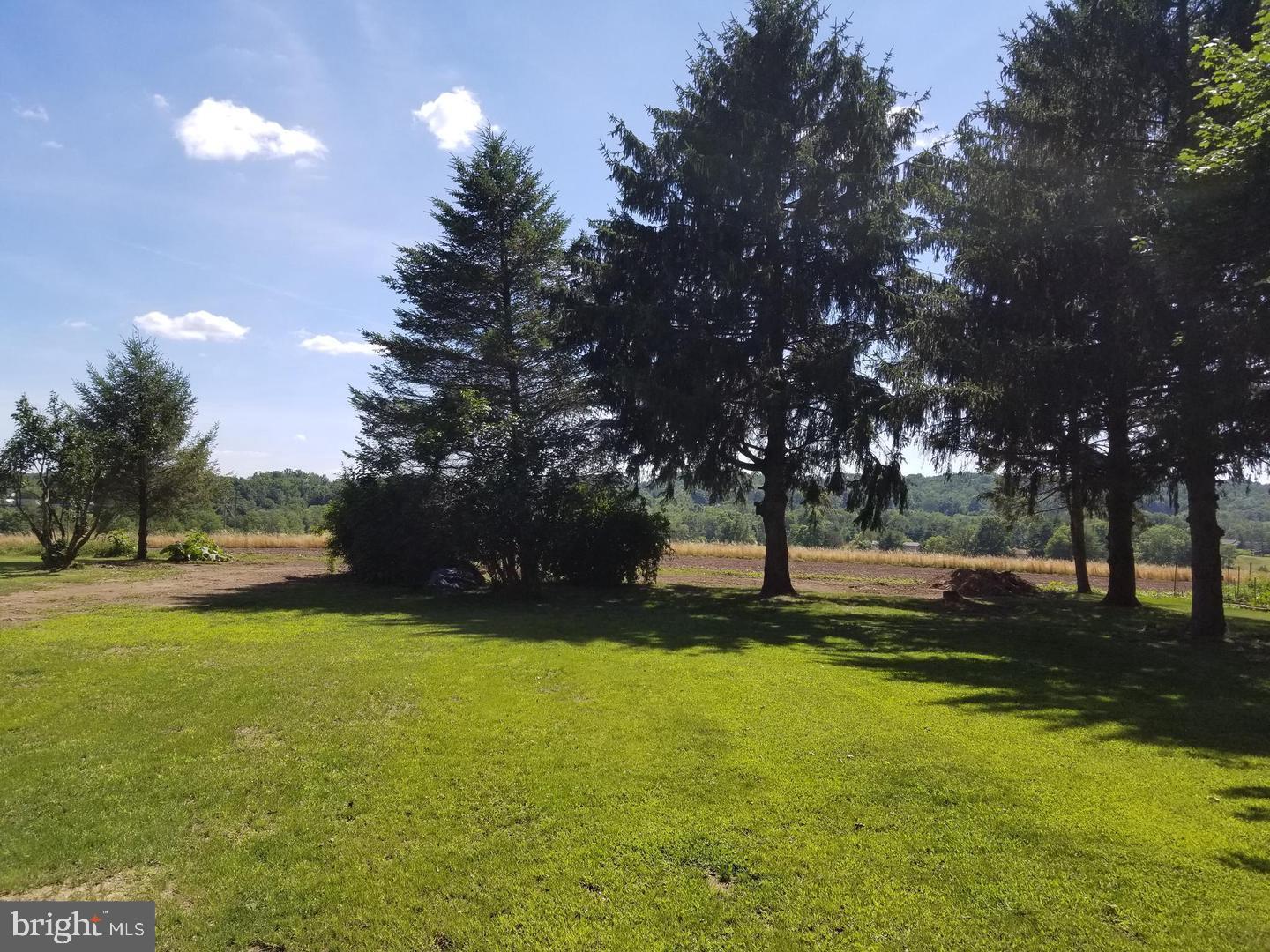 2030 Scheetzs Church Road Quakertown, PA 18951 - Photo 23 of 37 View from back yard