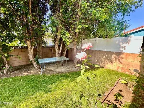 a garden with a bench and some trees