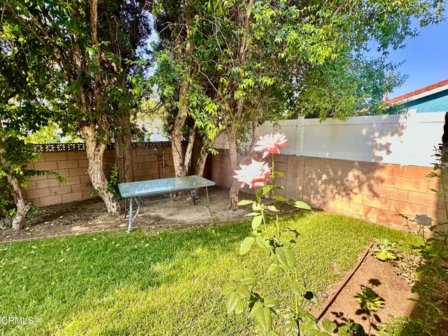 a garden with a bench and some trees