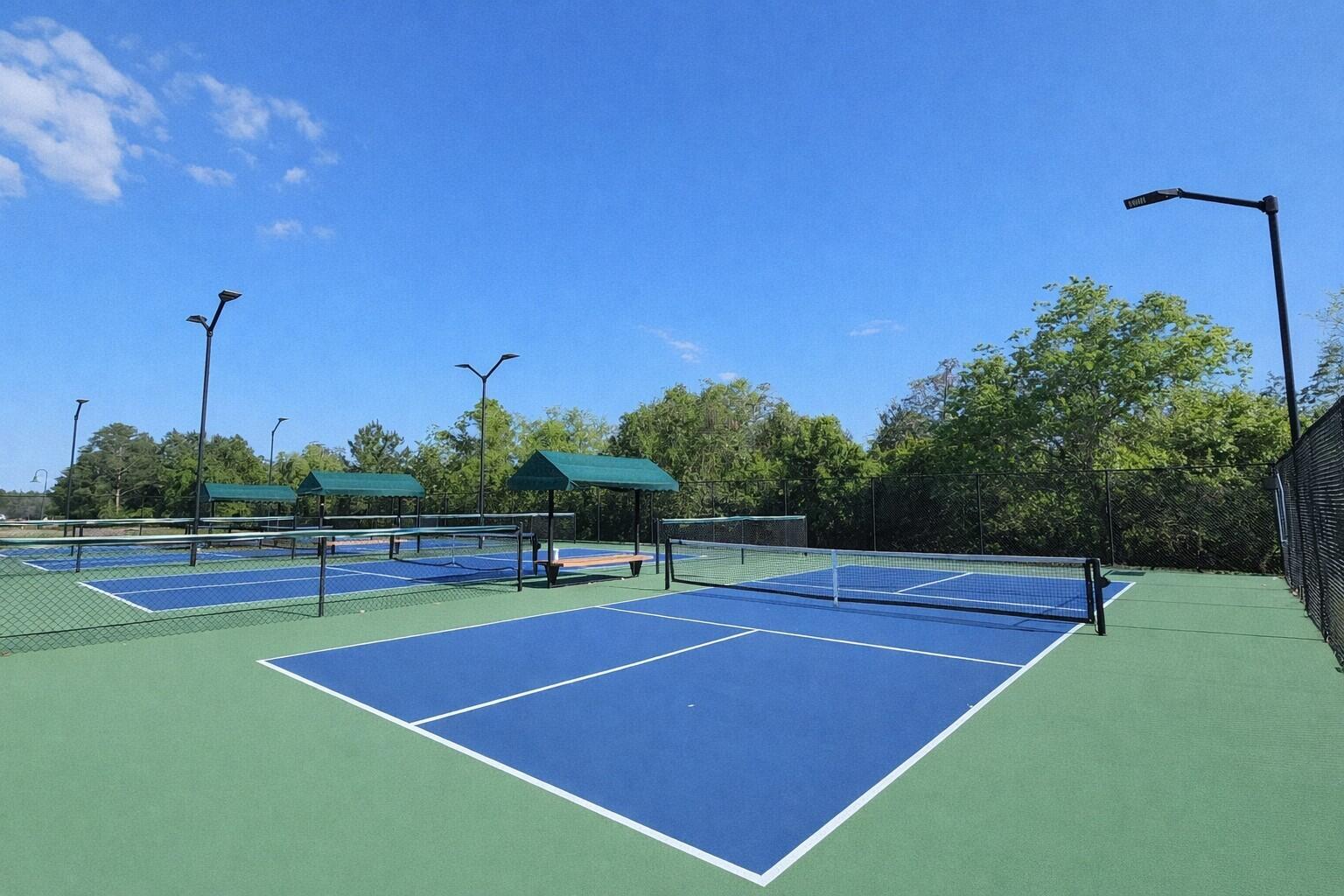 97 Dickens Drive Freeport, FL 32439 - Photo 45 of 48 PickleBall Courts