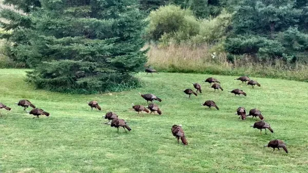 $890,000 | 75500 Joe Rein Road, Glidden, WI 54527