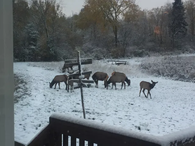 $950,000 | 75500 Joe Rein Road, Glidden, WI 54527