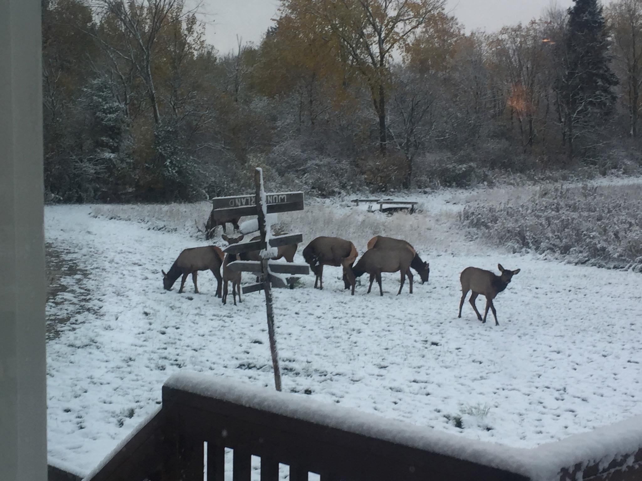 75500 Joe Rein Road Glidden, WI 54527 - Photo 44 of 62