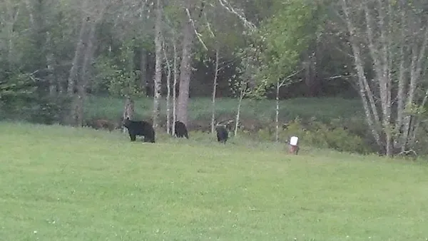 $890,000 | 75500 Joe Rein Road, Glidden, WI 54527