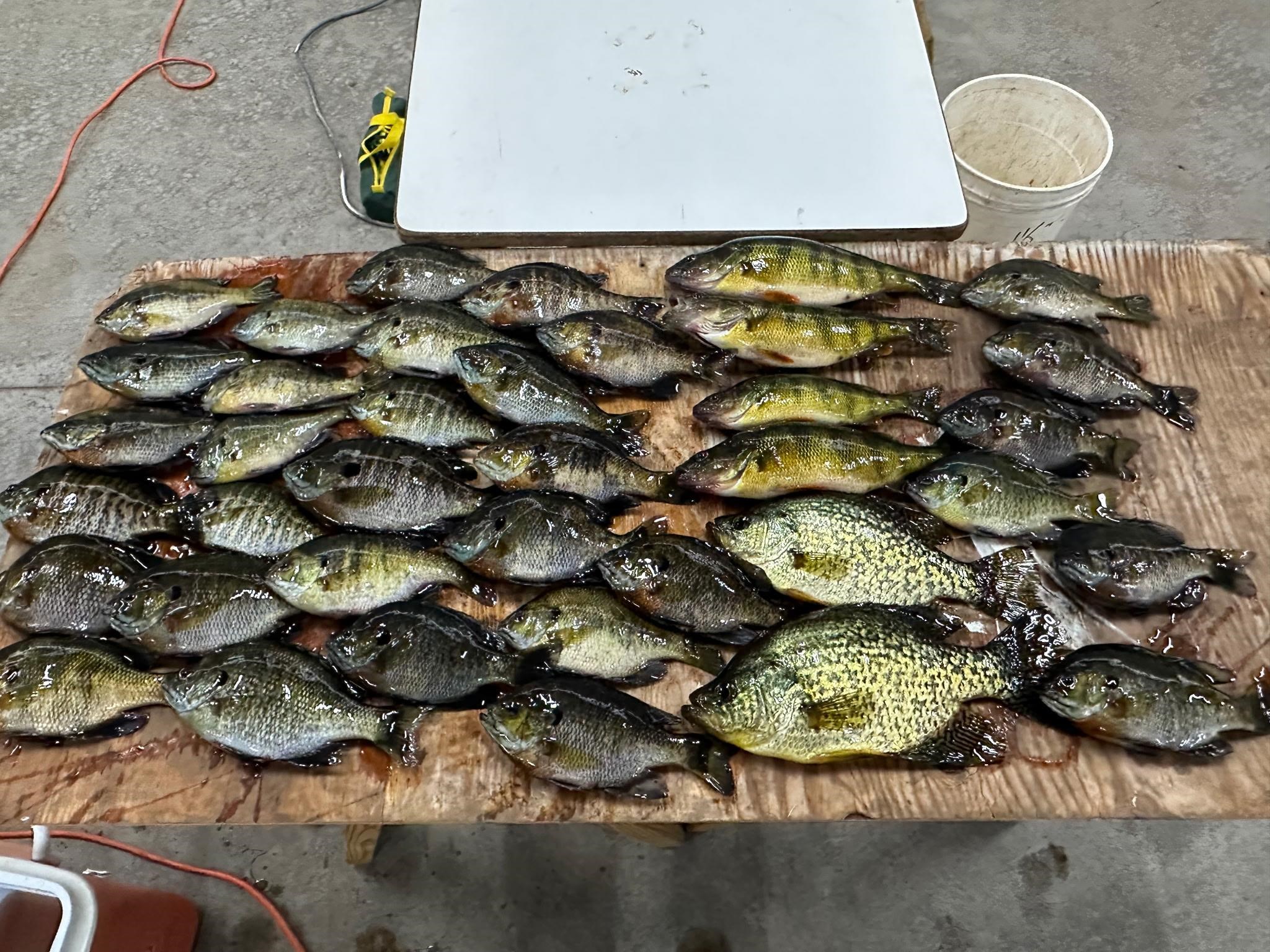 75500 Joe Rein Road Glidden, WI 54527 - Photo 45 of 62