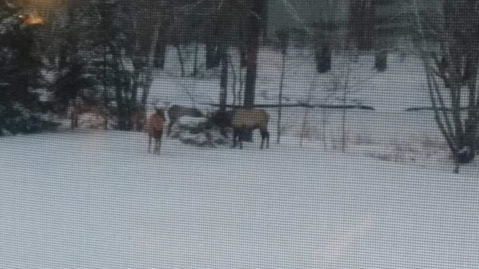 75500 Joe Rein Road Glidden, WI 54527 - Photo 47 of 62