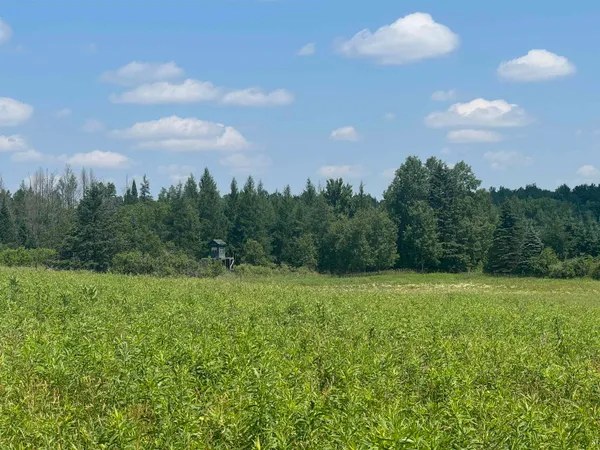 $890,000 | 75500 Joe Rein Road, Glidden, WI 54527