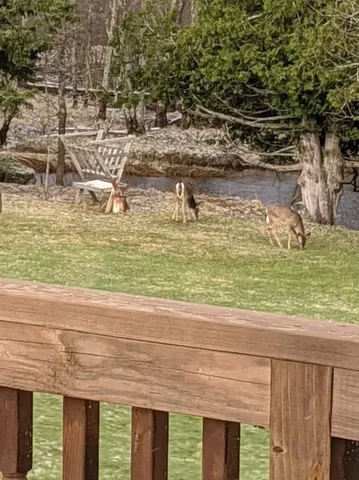 $950,000 | 75500 Joe Rein Road, Glidden, WI 54527