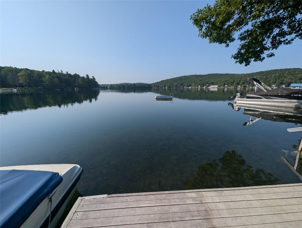 95-96 Hanson Road Deposit, NY 13754 - Photo 2 of 36 Gallery Image 2