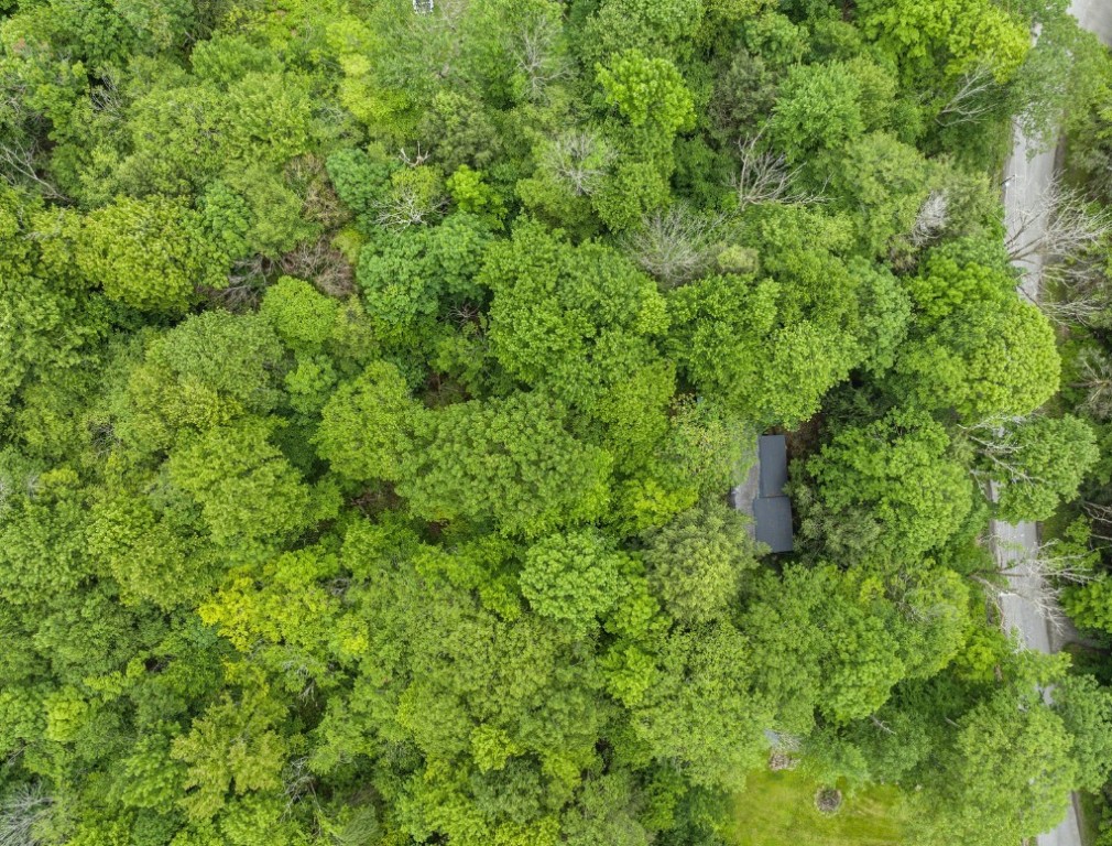 95-96 Hanson Road Deposit, NY 13754 - Photo 30 of 36 Gallery Image 30